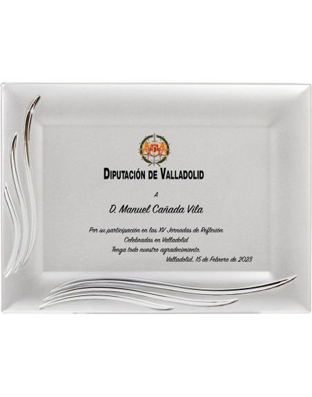 25/26 SOLO PLACA. 20 x 15 CM (E48)(MAD62, MAD13,MAD142,MAD83,MAD52, MAD93)