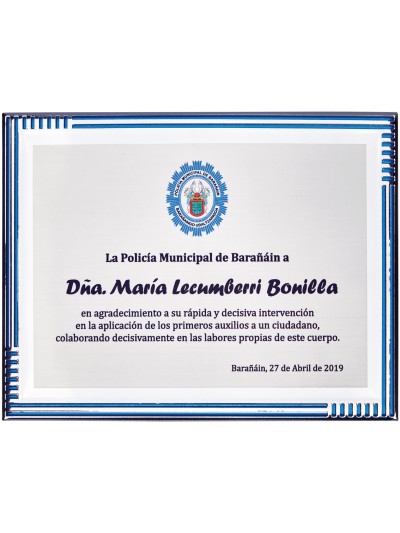 25/26 SOLO PLACA. 18 x 13 CM (E46)(MAD61, MAD12,MAD141,MAD82,MAD51)