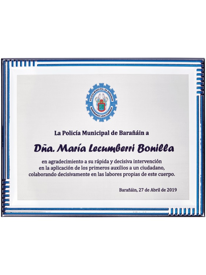 25/26 SOLO PLACA. 18 x 13 CM (E46)(MAD61, MAD12,MAD141,MAD82,MAD51)