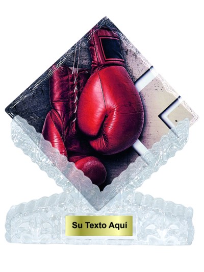 25/26  T. CERAMICA BOXEO 25 cm