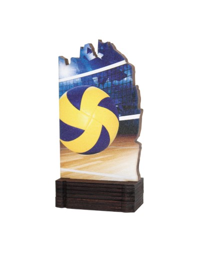 25/26 TROFEO MADERA VOLEIBOL . 13 CM