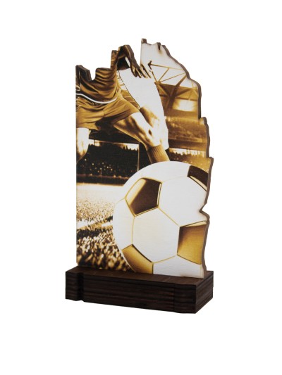 25/26 TROFEO MADERA FUTBOL . 19 CM