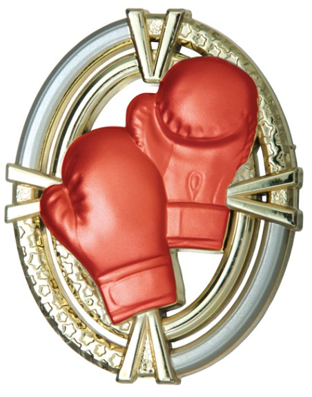 25/26 APLIQUE ABS BOXEO