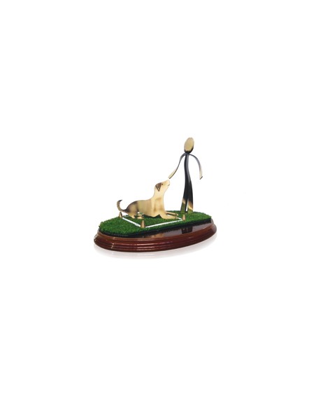 25/26 TROFEO SOLDART AGILITY 20 cm