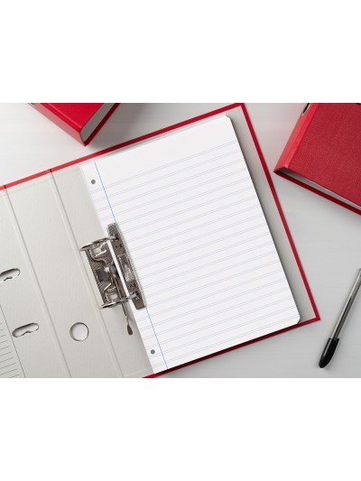 Recambio liderpapel a4 100 hojas 75 gr pauta 5 2.5mm con margen 4 taladros