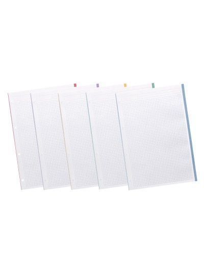 Recambio liderpapel a4 120 hojas 90gr cuadro 5 mm 4 taladros bandas de 5 colores pasteles