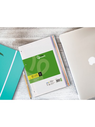 Recambio liderpapel a4 120 hojas 90gr cuadro 5 mm 4 taladros bandas de 5 colores pasteles