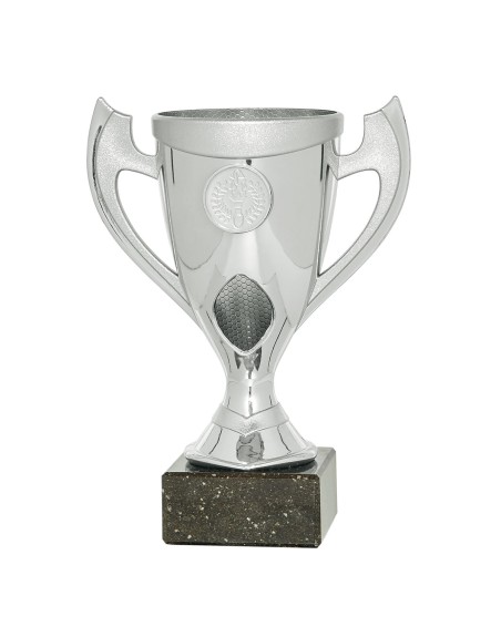 25/26 COPA CATÁLOGO ABS PLATA
