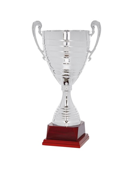 25/26 COPA CATÁLOGO