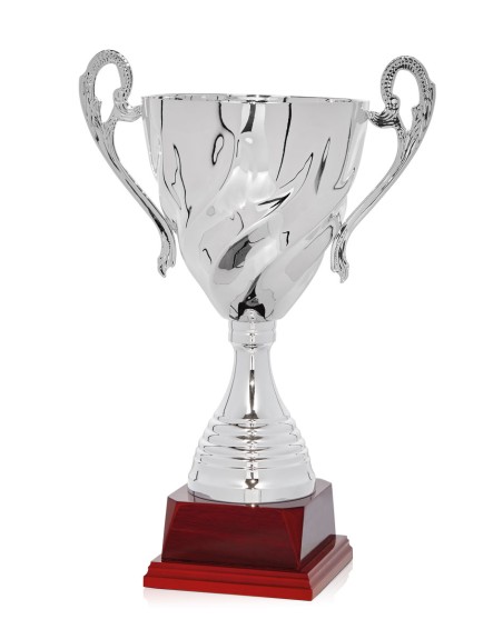 25/26 COPA CATÁLOGO