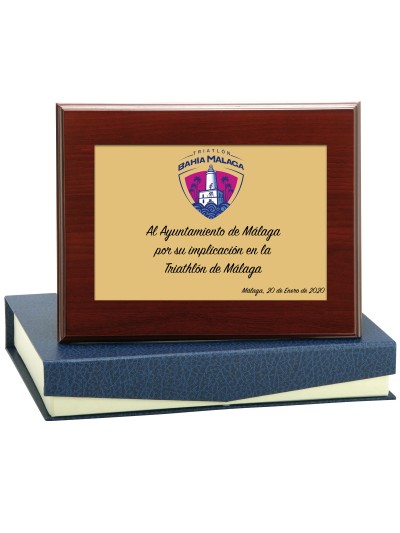 25/26 SOLO PLACA. 11 x 7 CM