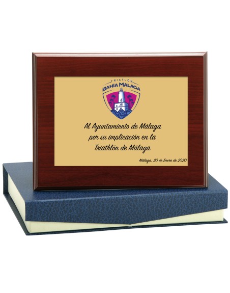 25/26 SOLO PLACA. 11 x 7 CM