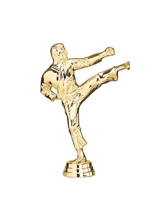 25/26 FIGURIN ABS ARTES MARCIALES