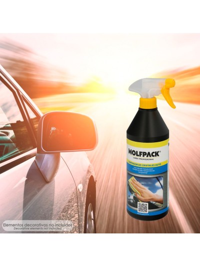 Limpiador Cristales Especial Coches 750 ml.