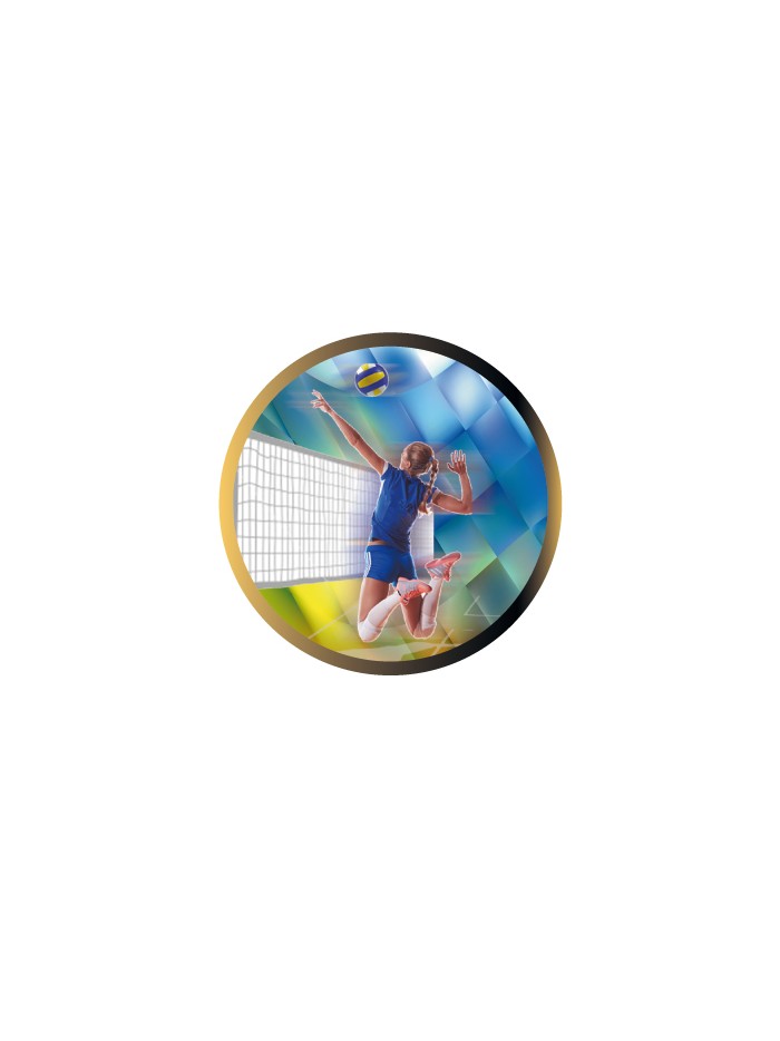 25/26 DISCO EPOXY VOLEYBOL FEMENINO Ø 2,5 CM