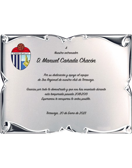 25/26 SOLO PLACA. 18 x 13 CM (E46)(MAD61, MAD12,MAD141,MAD82,MAD51)