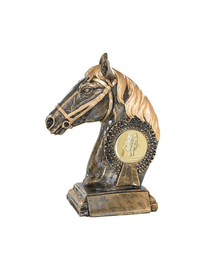 25/26 RESINA  EQUITACION 23 CM
