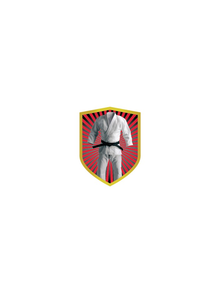 25/26 APLIQUE ALUMINIO KARATE