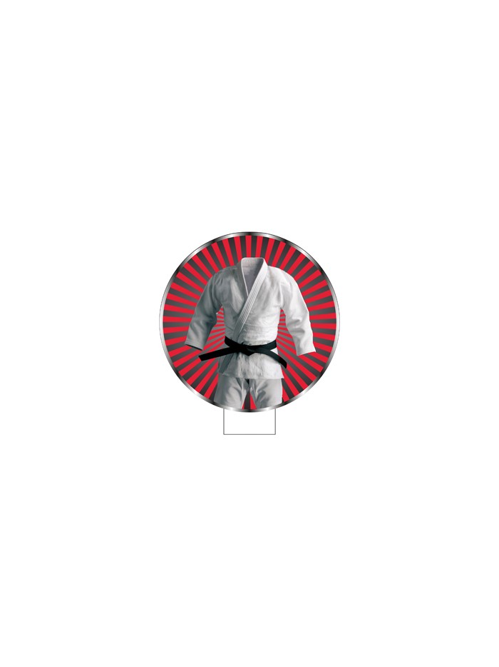 25/26 APLIQUE MDF KARATE